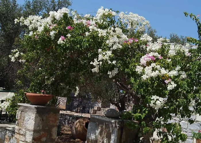 Apartamento Charouda Stone Tower Xenonas *